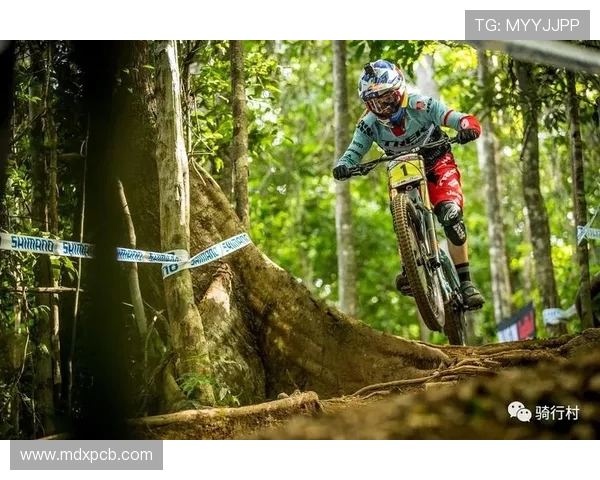 南京极限运动队在全国极限运动状态排行榜中荣获第七名的佳绩分析