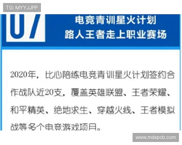 和平精英深度解析：揭秘FPX战队的比赛策略与经验分享