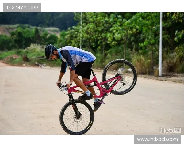 武汉极限运动队战术表现深度分析与数据解读探讨