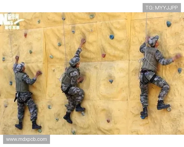 武汉攀岩队与深圳攀岩队赛后战术分析与总结探讨