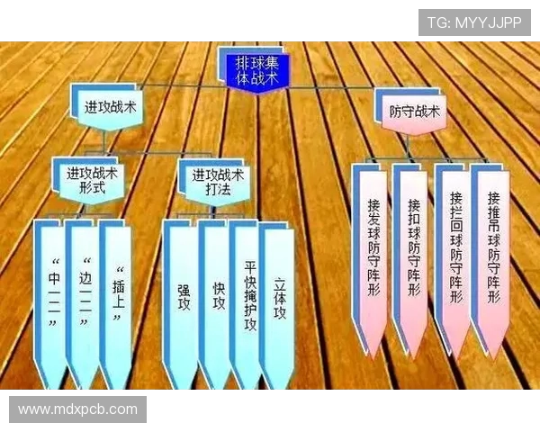 西安排球队的战术解析与排球比赛中的应用探讨