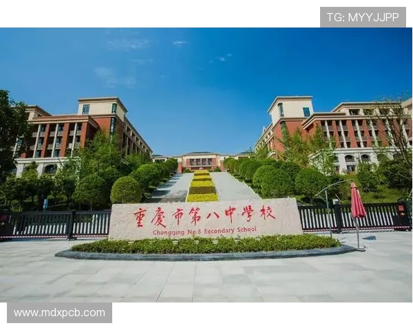 重庆篮球队篮球意识创新高引发热议实力排名再攀新高峰