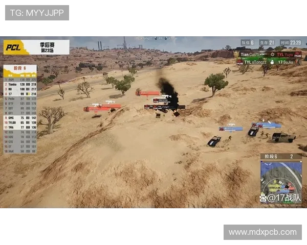 Natus Vincere绝地求生战队崛起之路：从草根到顶级战队的蜕变与荣耀