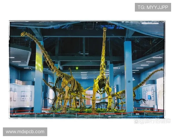 探寻世界各大足球俱乐部崛起之路与时代变迁的多维全景深度解析 探寻世界各大足球俱乐部崛起之路与时代变迁的多维全景深度解析