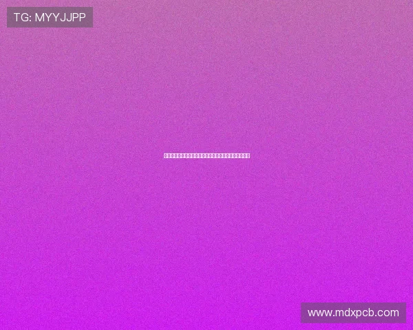 王岚：在音乐与人生的交汇点上绽放光彩的多才艺女歌手